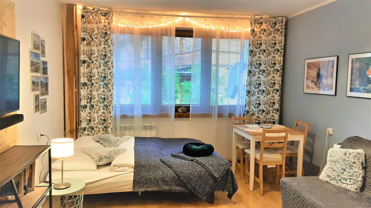 Studio Mila I Nido W Centrum Apartzakop Zakopane Eksteriør billede